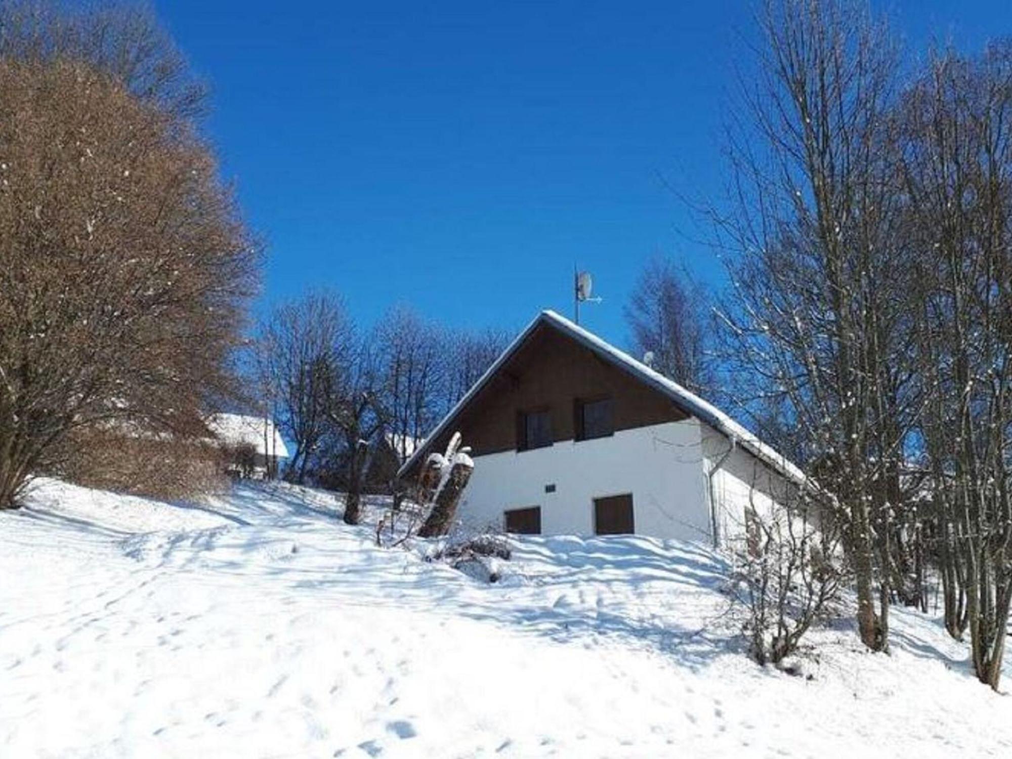 Cozy Chalet Near Ski Area In Javornik Rudník Esterno foto